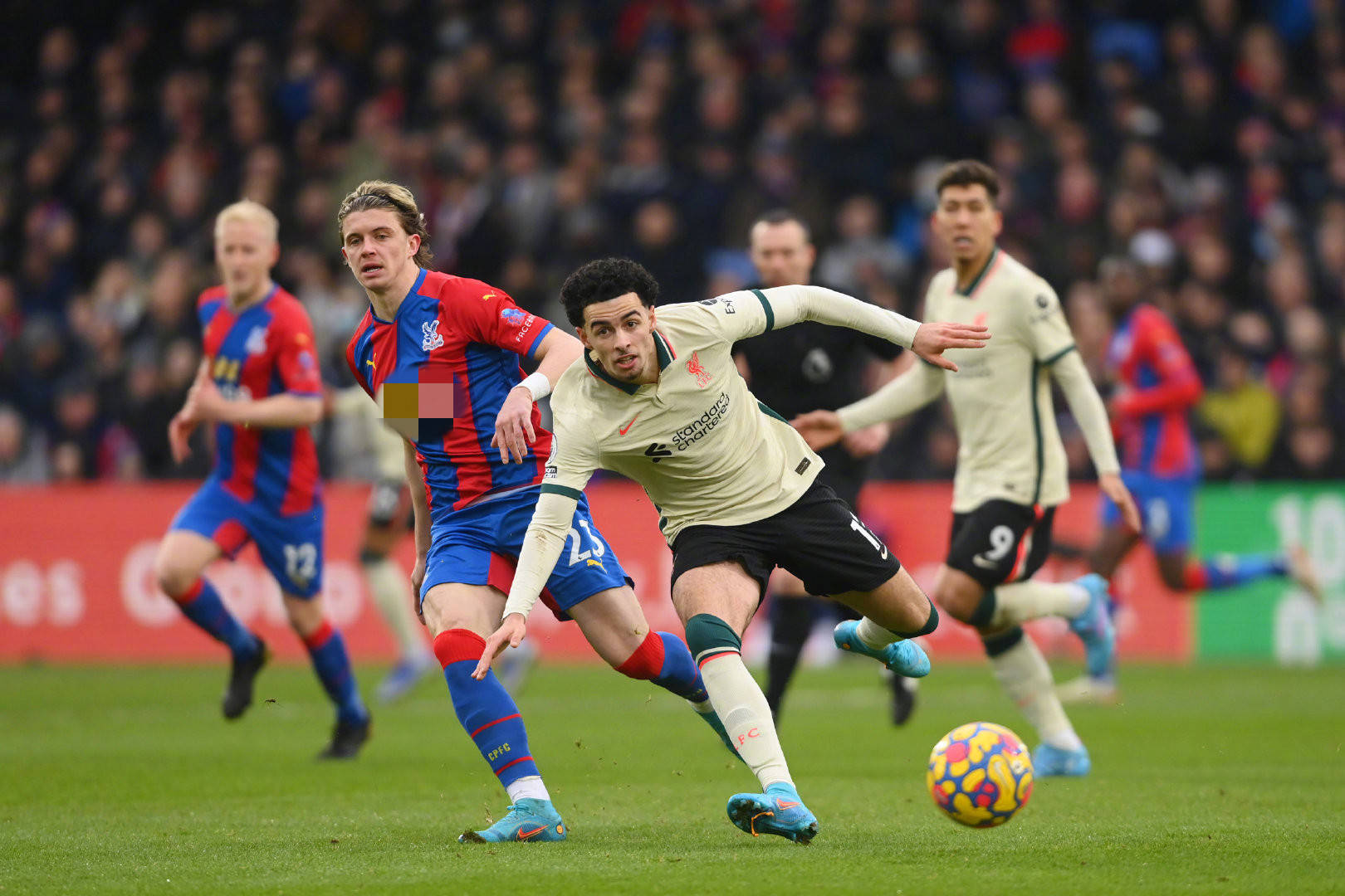 他们可以在 他们可以在